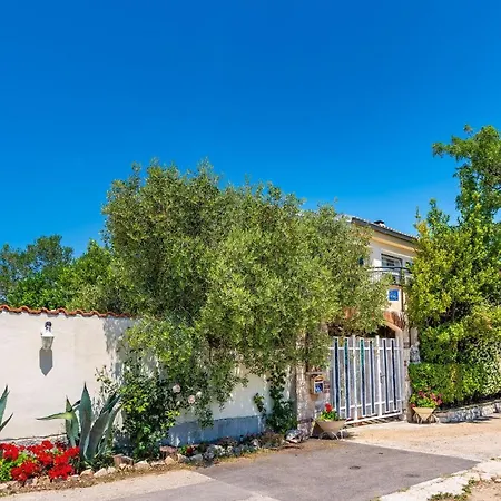 بيت للعطل Olive House زادار