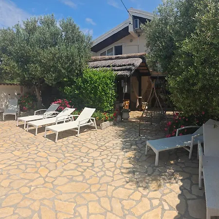 Olive House *