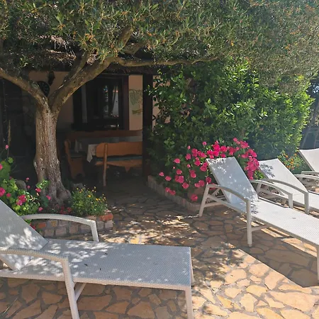 度假居 Olive House 扎达尔