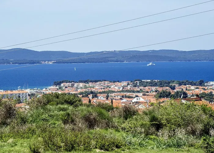 Olive House * Ζαντάρ